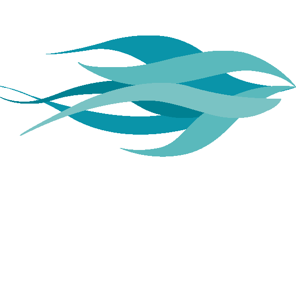 NSDb