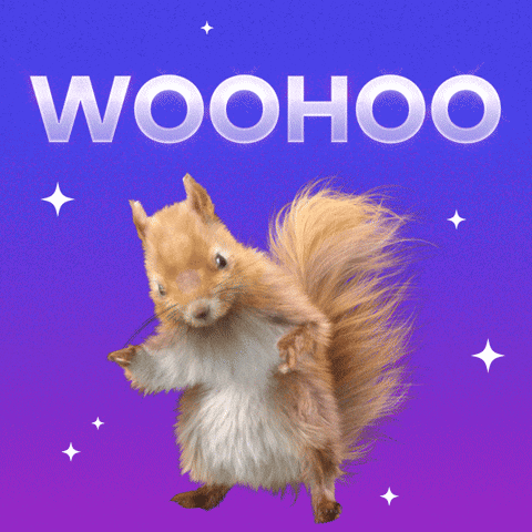 celebratory gif