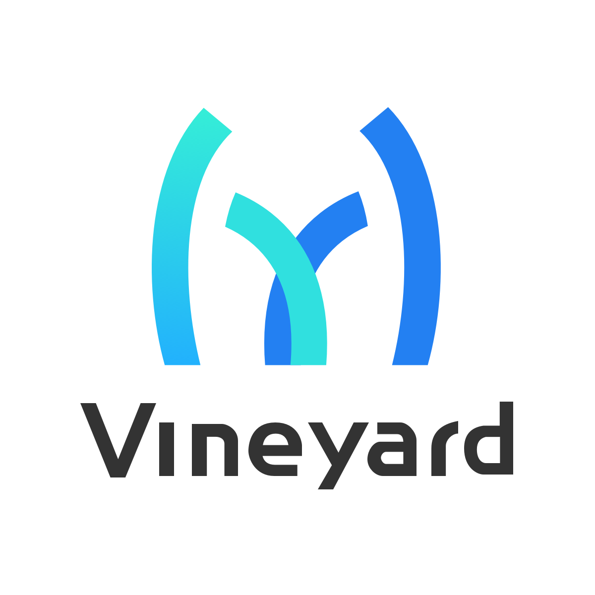 vineyard