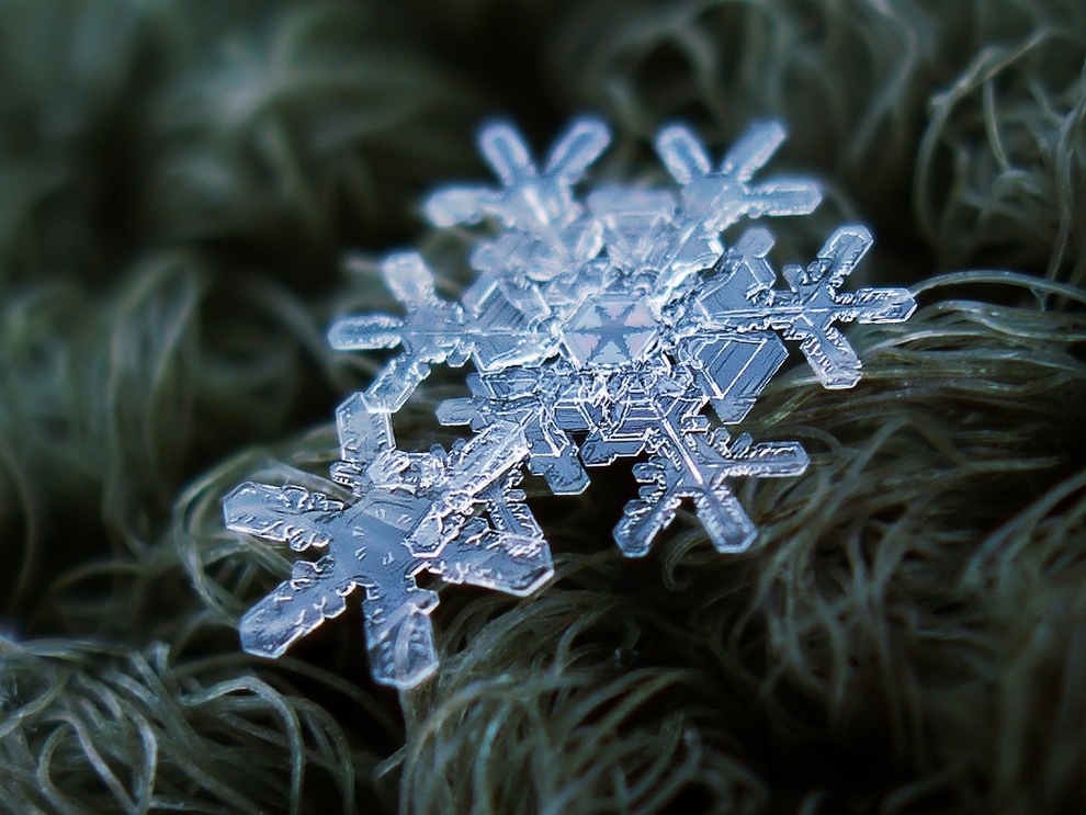 Image of Devine Snowflake