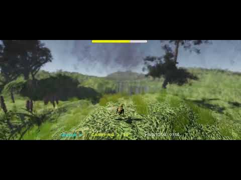 Watch the Tutorial