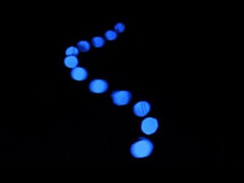 GitHub - lmarkus/pendulum: A pendulum wave motion simulator · GitHub