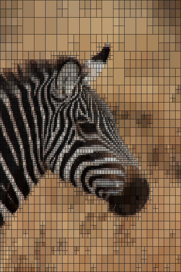 Zebra