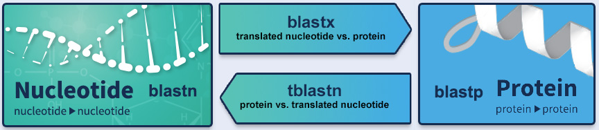 BLAST varieties