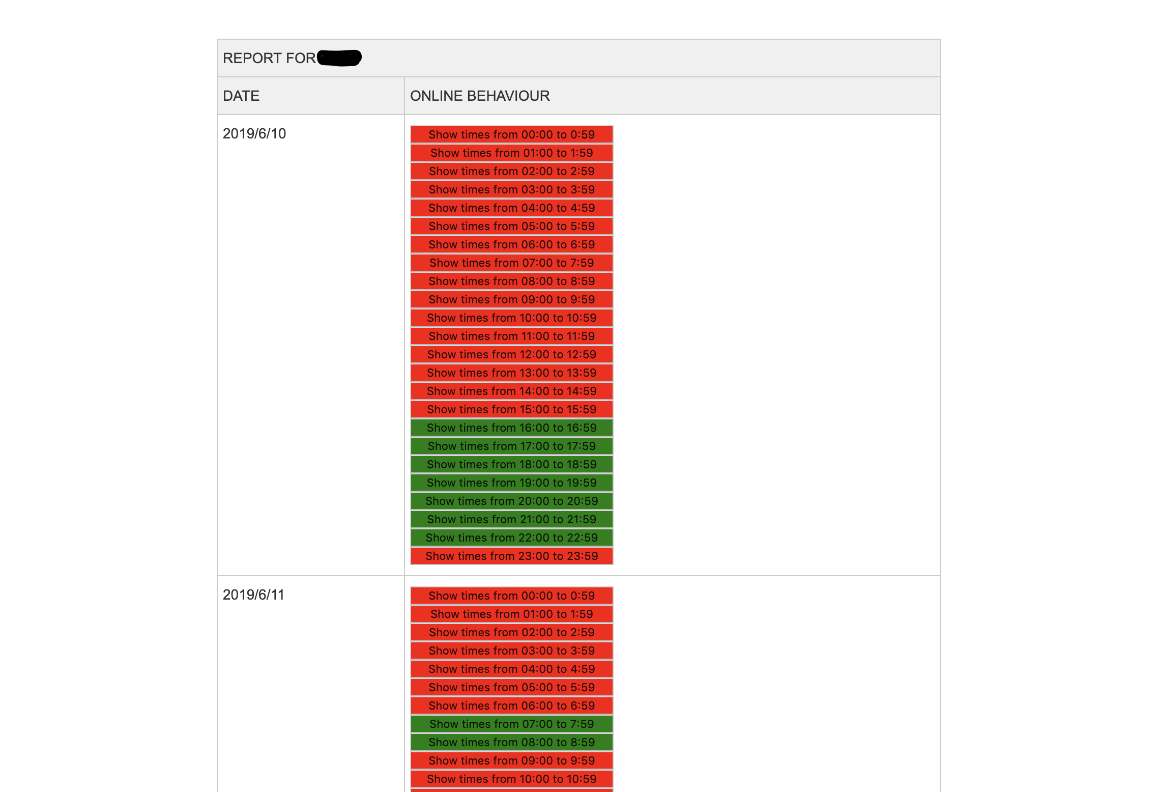 example report