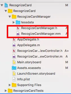 RecogizeCardManager.png