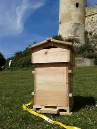 Jobee Warré Beehive