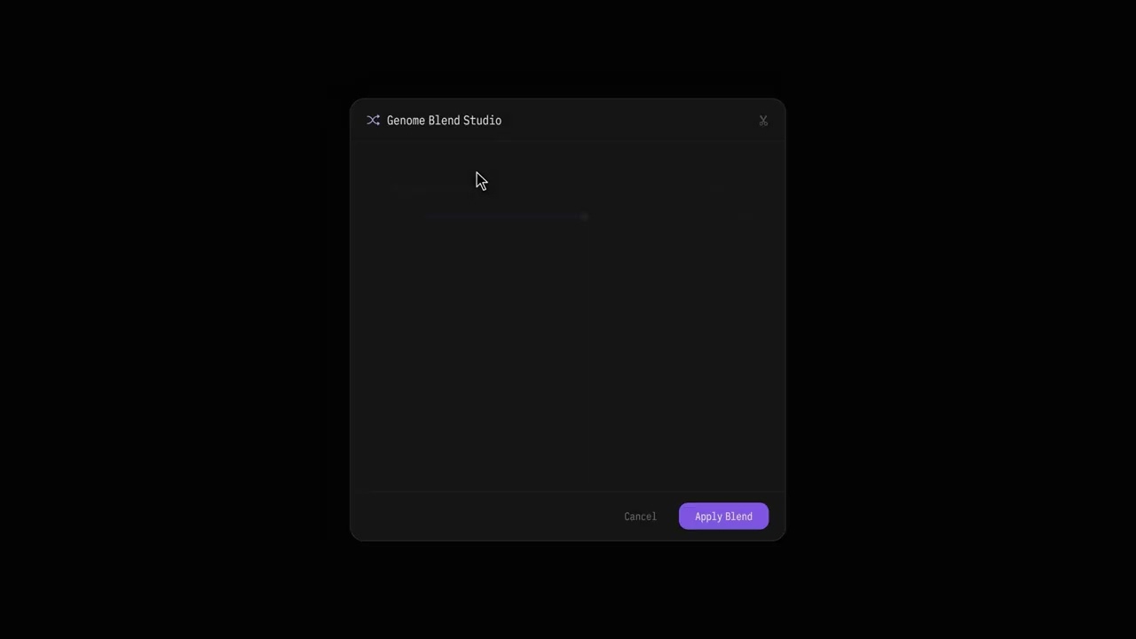 motif demo video