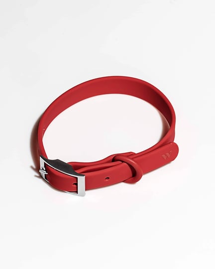 wild-one-dog-collar-in-strawberry-at-urban-outfitters-1