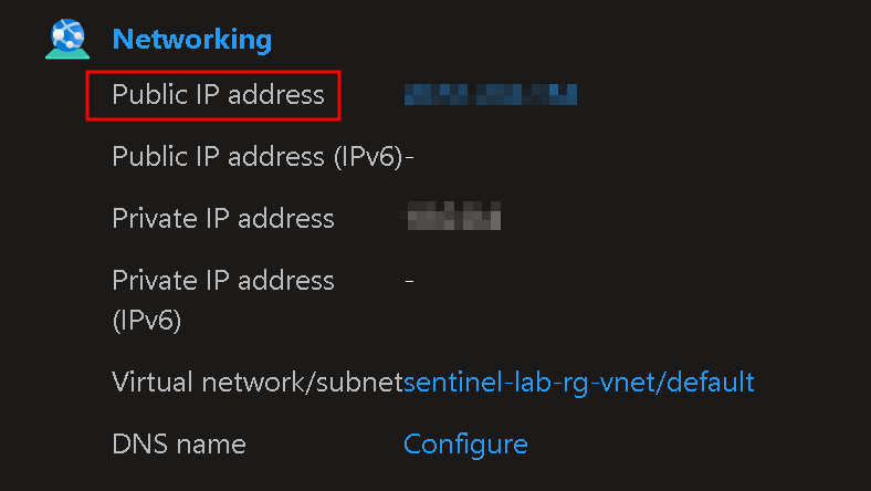 Public IP address