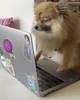 Angry Work GIF by Jess via giphy.com