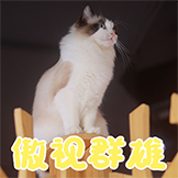 猫不理咖啡-傲视群雄