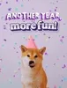 Happy Birthday GIF by Sealed With A GIF via giphy.com