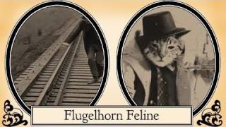 Flugelhorn Feline