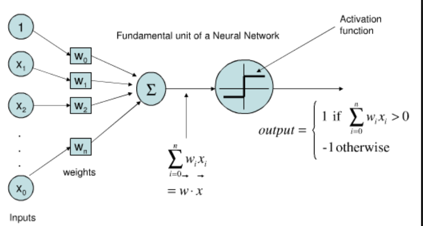 simple neuron 