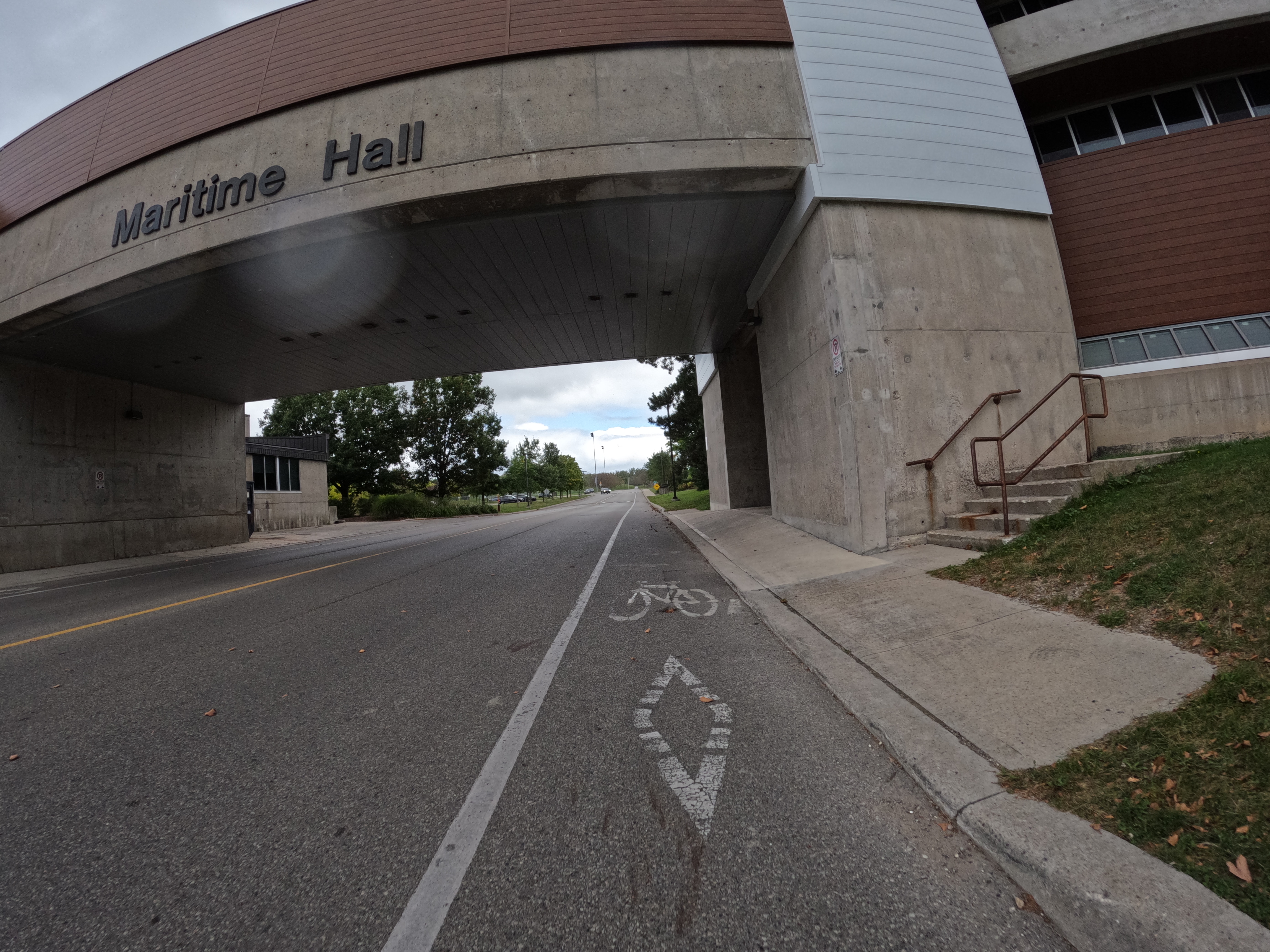 Photo of standard bike lane from Panoramax