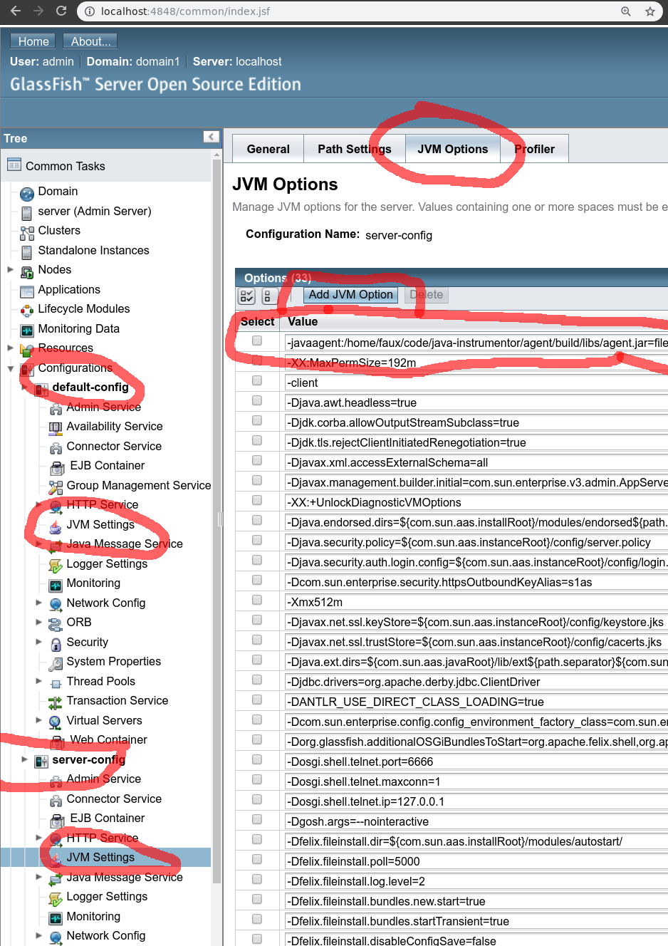 Add JVM Option