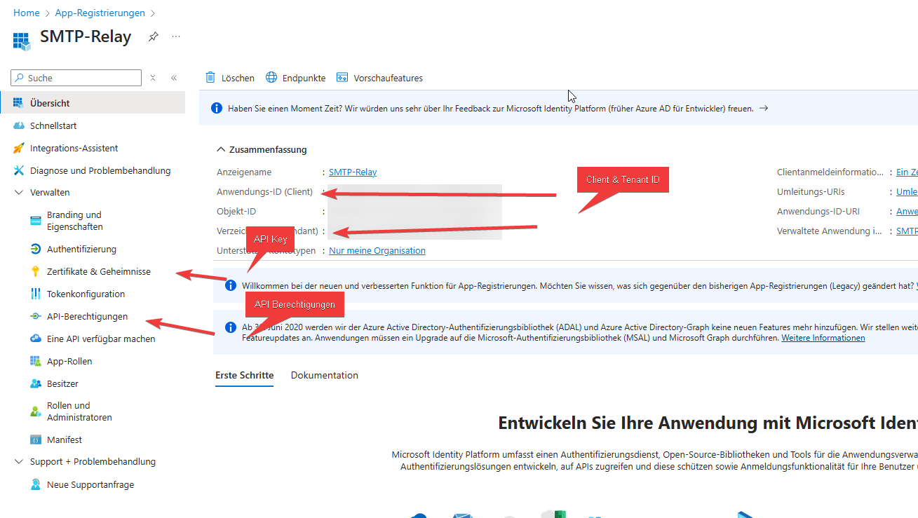 Übersicht Client ID, Tenant ID
