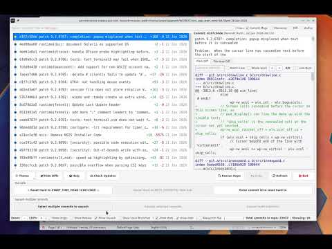 Demo Video