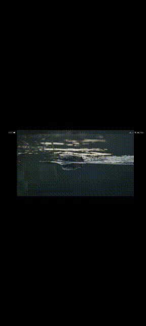 GitHub - Athanax/video_player_controls: Flutter video player controls ...