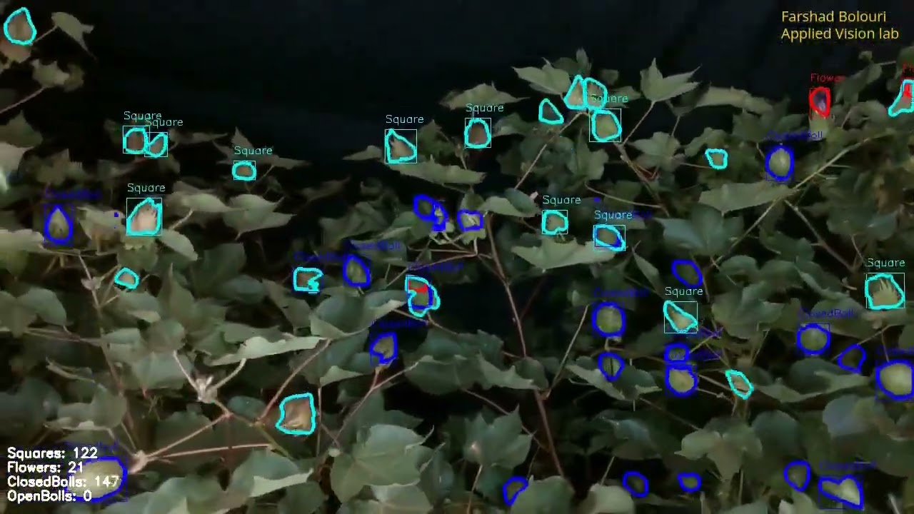 Cotton Plant Phenotyping Data Acquisition System