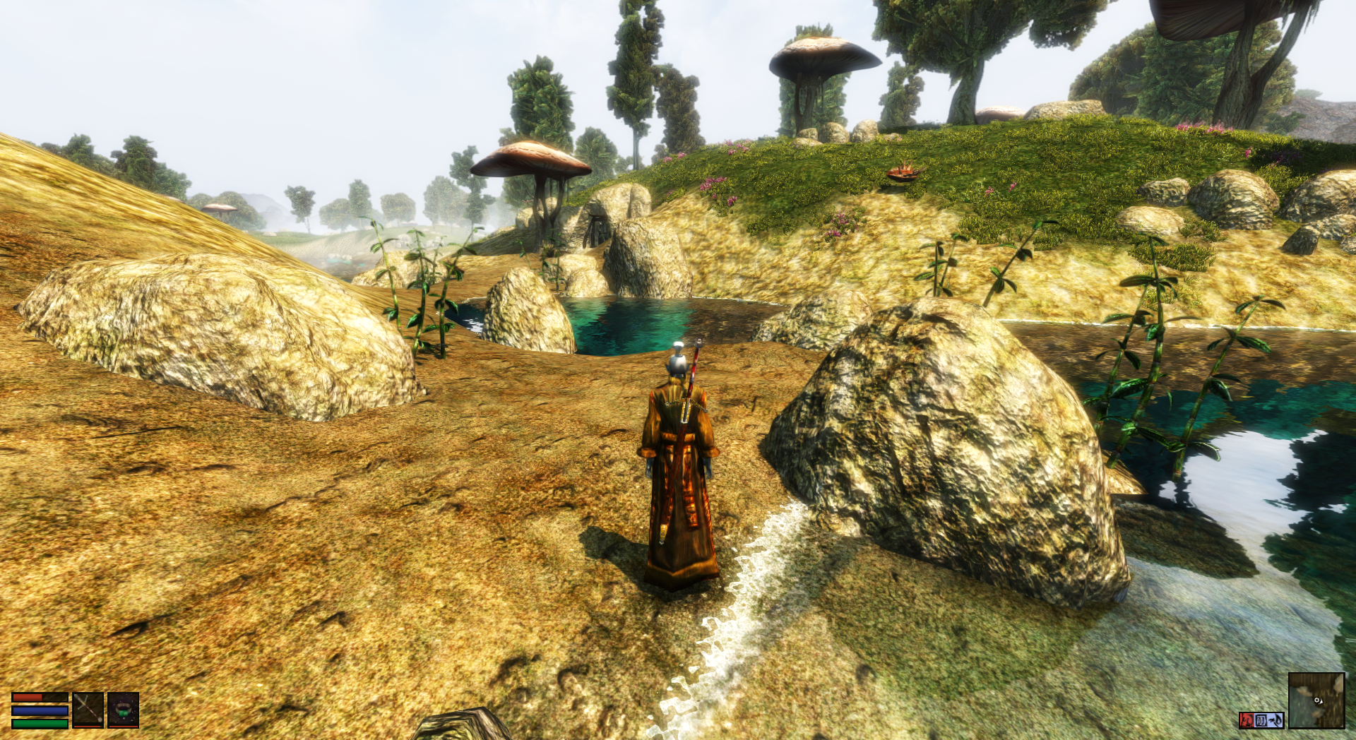 The beaches and tidal pools outside Vivec