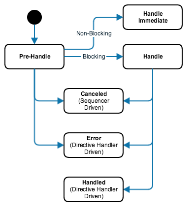 Directive Lifecycle