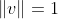 \left|v\right|=1