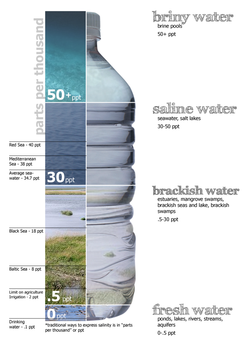 Graphic breakdown of water salinity, defining freshwater, brackish water, saltwater, and brine water