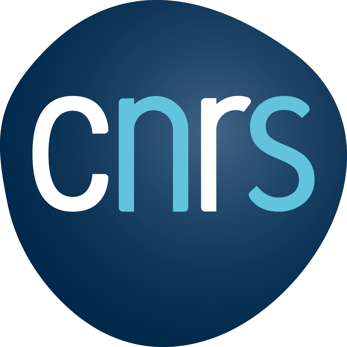 logo du CNRS