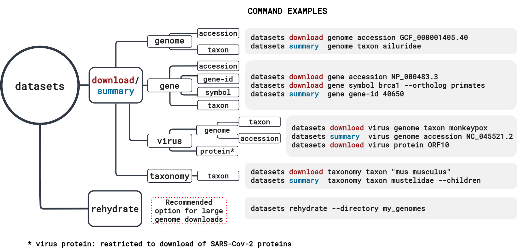 Datasets CLI schematic