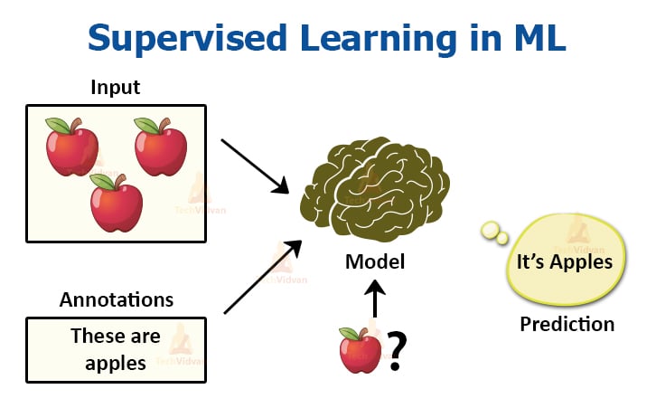 Supervised Learning