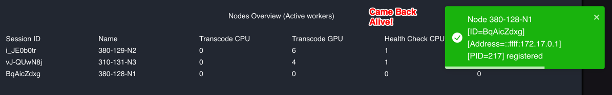 Tdarr Node Coming Back Online