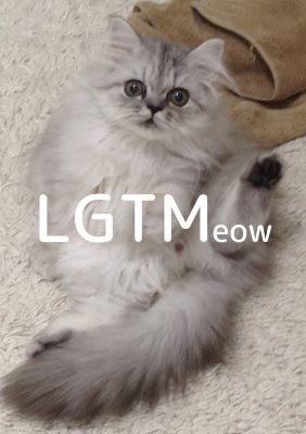 LGTMeow