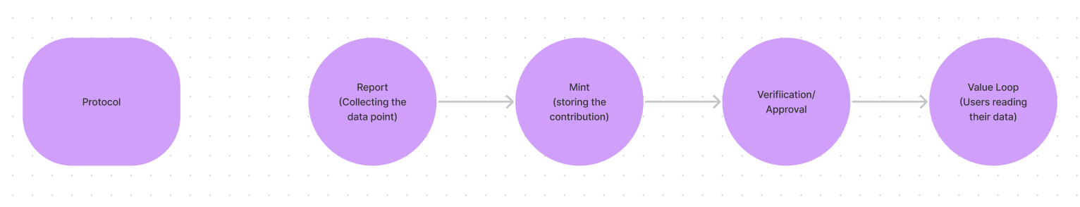 Protocol Porcess