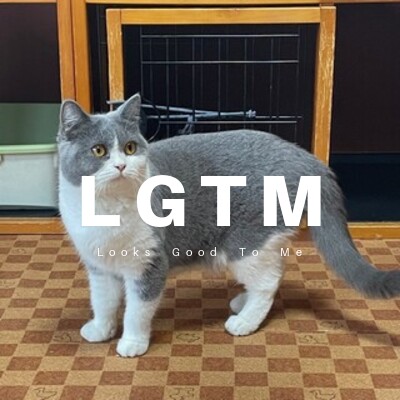 LGTM