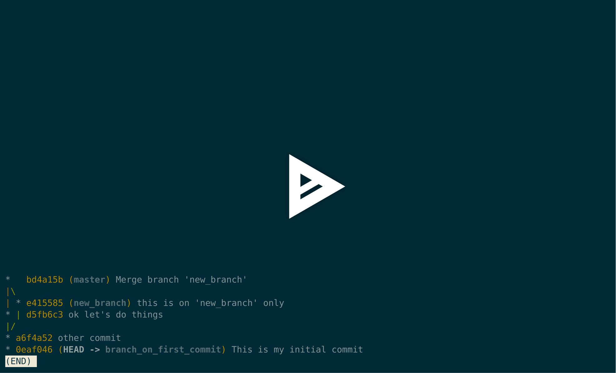 asciicast