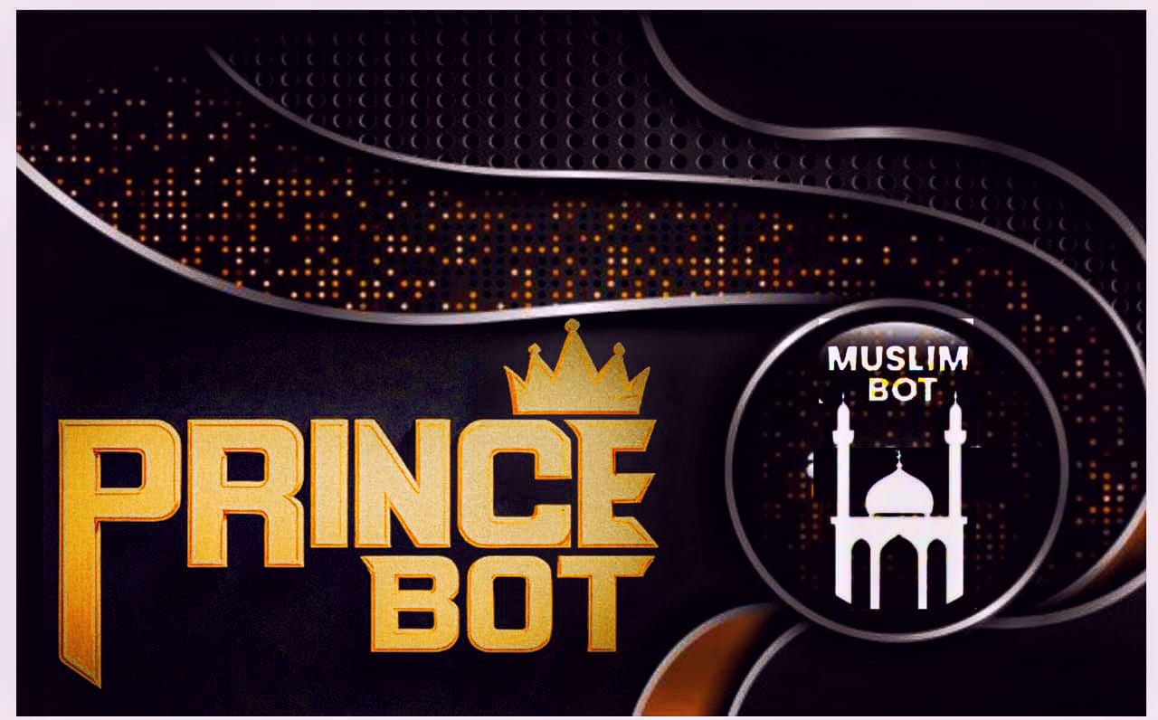 PRINCE BOT