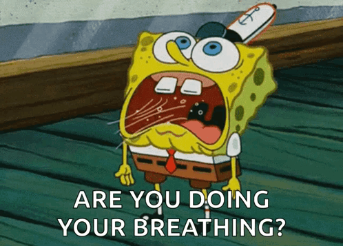 ChestVision Project GIF