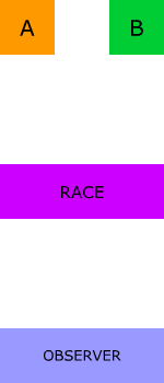 Race