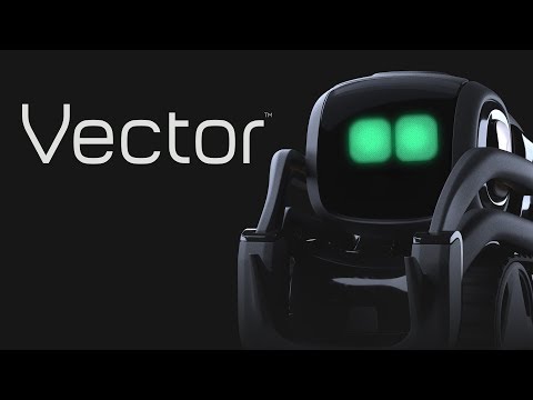 Vector