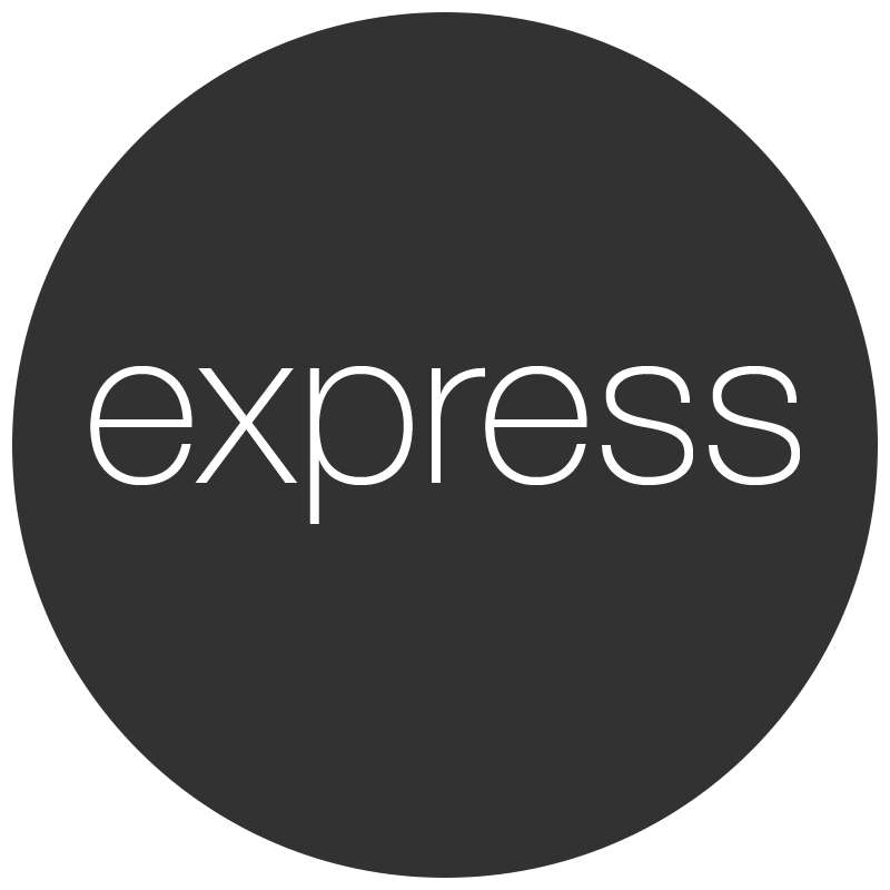 --Express.js Logo--