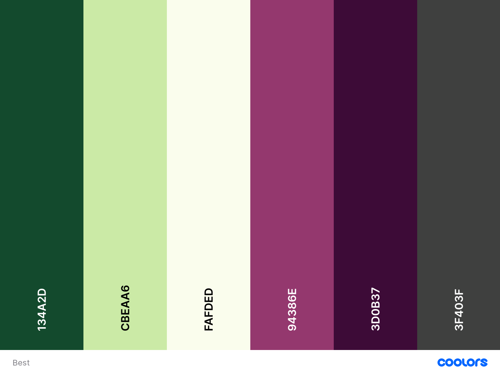 Color Palette