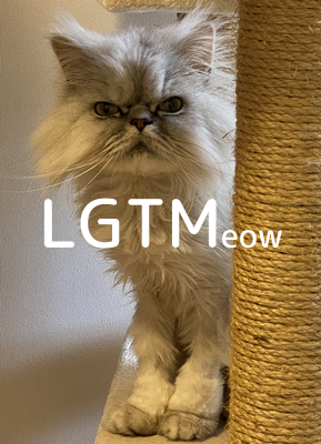 LGTMeow