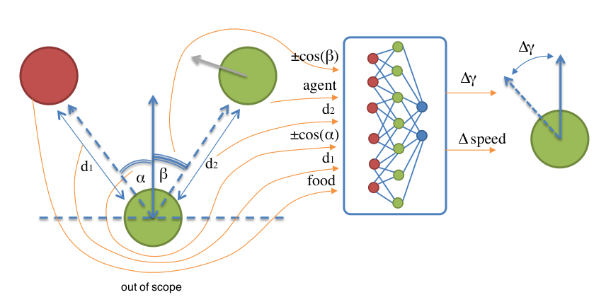 GitHub - lagodiuk/evo-neural-network-agents: Evolving of neural ...