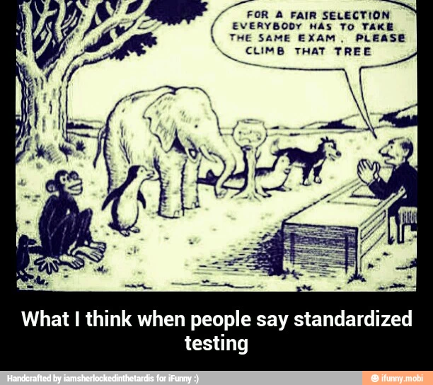 Standardized test