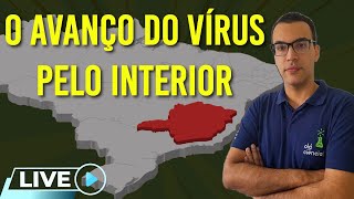 SITUAÇÃO DA COVID-19 EM MG: O AVANÇO DO VÍRUS PELO INTERIOR