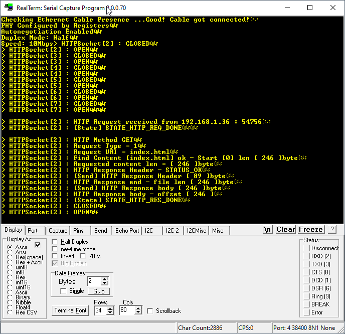 real term showing output of http webserver