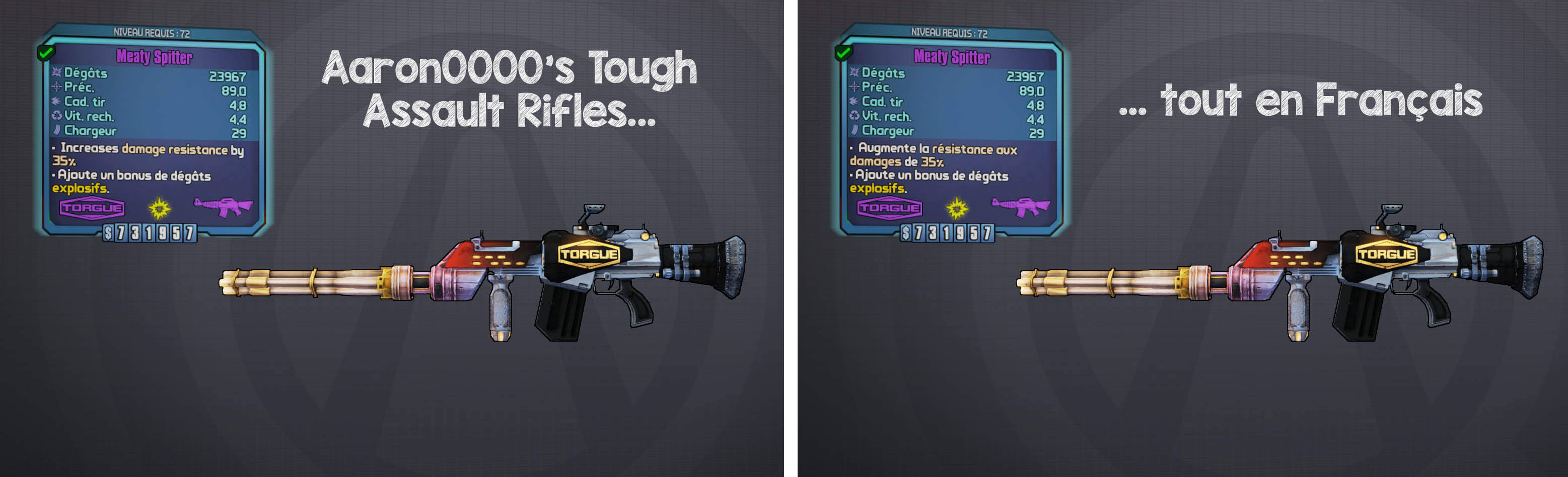 BL2 - Aaron0000's Though Assault Rifles French Translation
