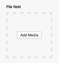 File Field